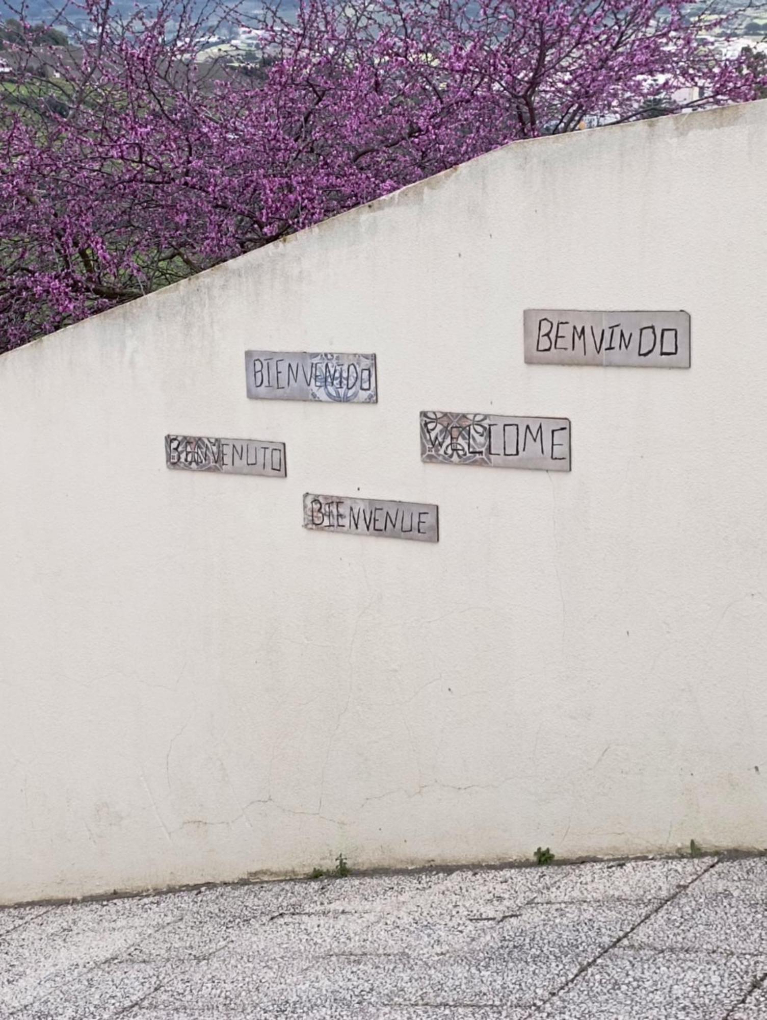 Sossego E Tranquilidade-valley Guest House-perto De Lisboa-estacionamento A Porta Do * Arruda dos Vinhos